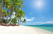 Book a Beach Holiday or a Short Getaway Online!