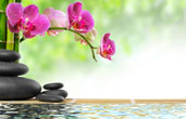 Spa packages in Sri Lanka