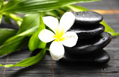 Spa packages in Seychelles