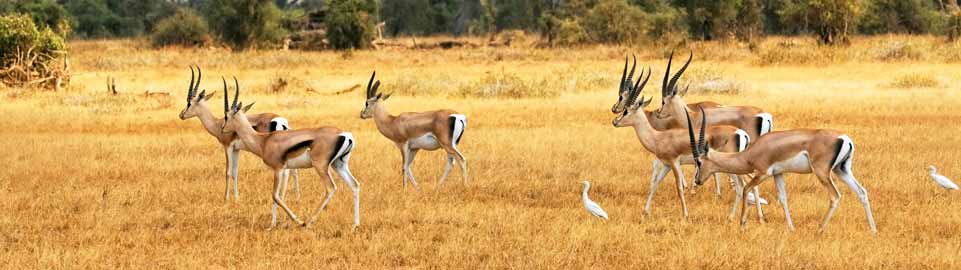 South Africa
