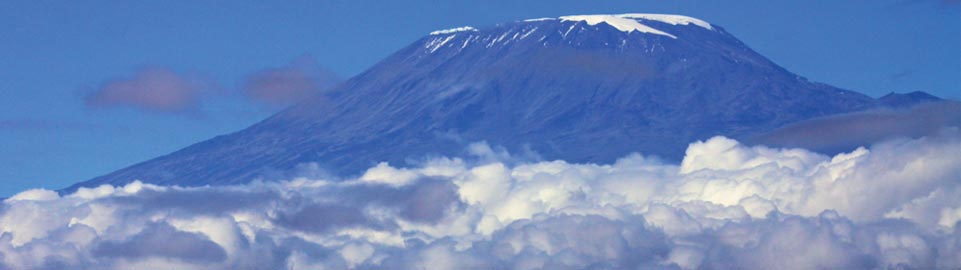 Safari - Kilimanjaro