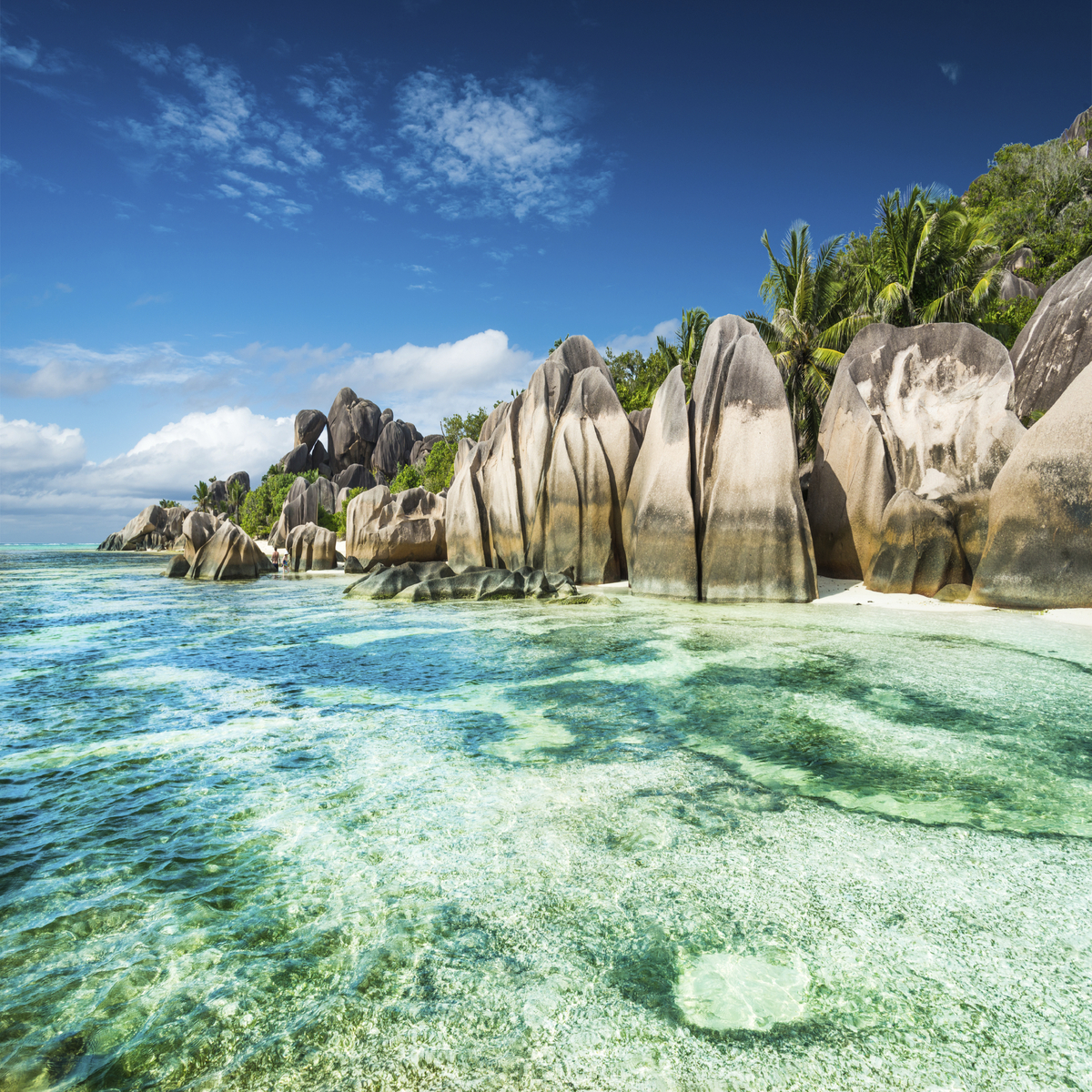 Scorpio: Seychelles, Seychelles 