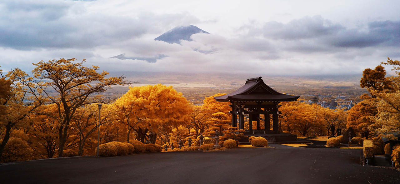 Brazil to Japan Qatar Airways