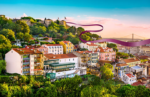 Uncover more of our new destinations