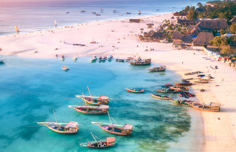 Vous cherchez des idées ?