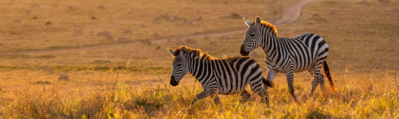 Members get more Enjoy up to 10% off as a Privilege Club MemberEnjoy up to 10% off as a Privilege Club Member