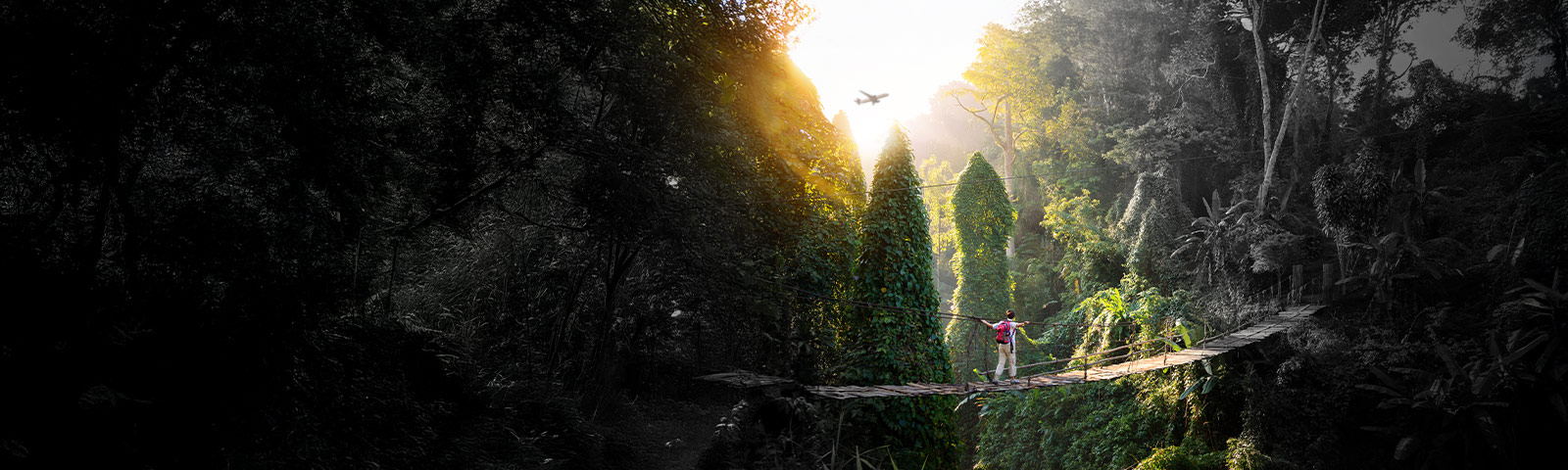 Save up to 30% with Privilege Club this Black Friday  