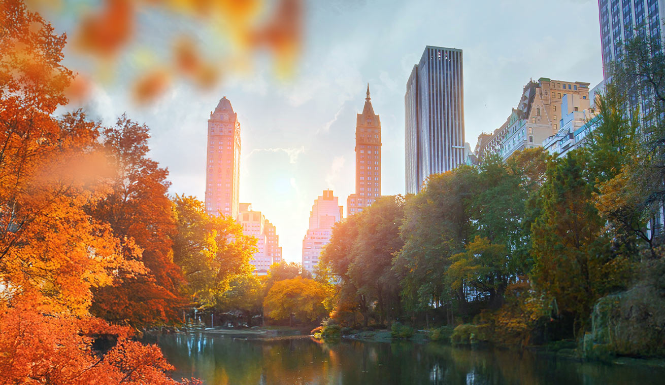 Limited time one-way fare offer