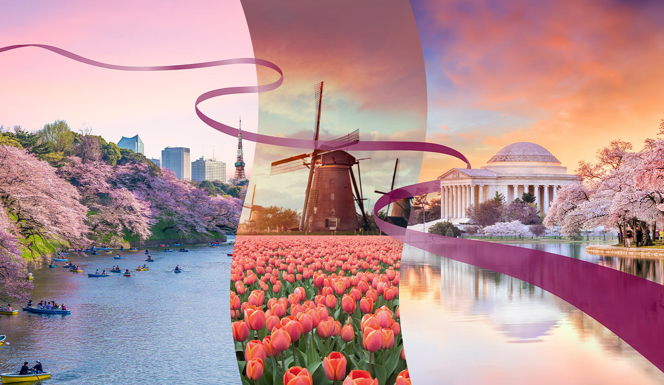 ما هي مميزات الحجز عبر الإنترنت معنا؟