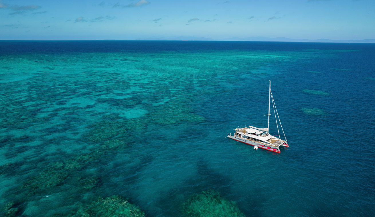 استكشف جوهرة ساحلية شبه استوائية