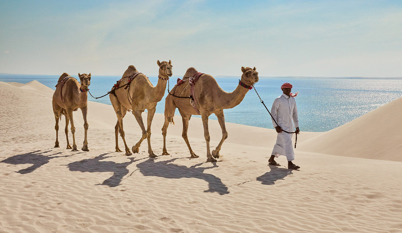 Looking for an adventure? 