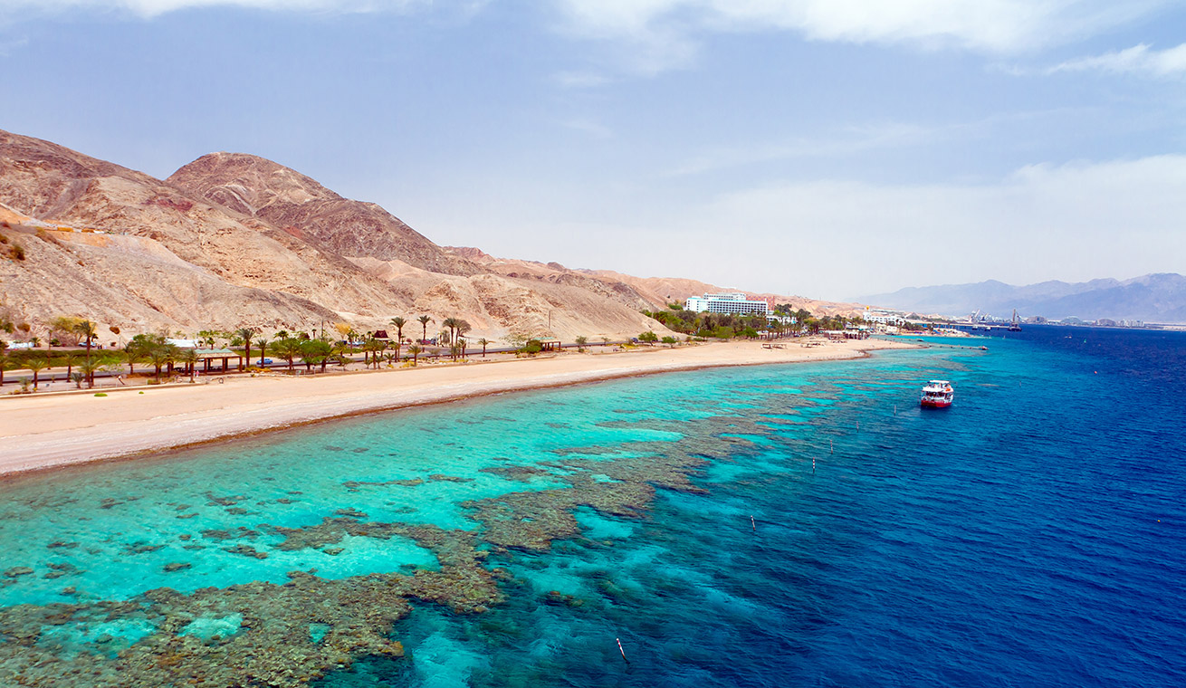 Experience more of the Red Sea
