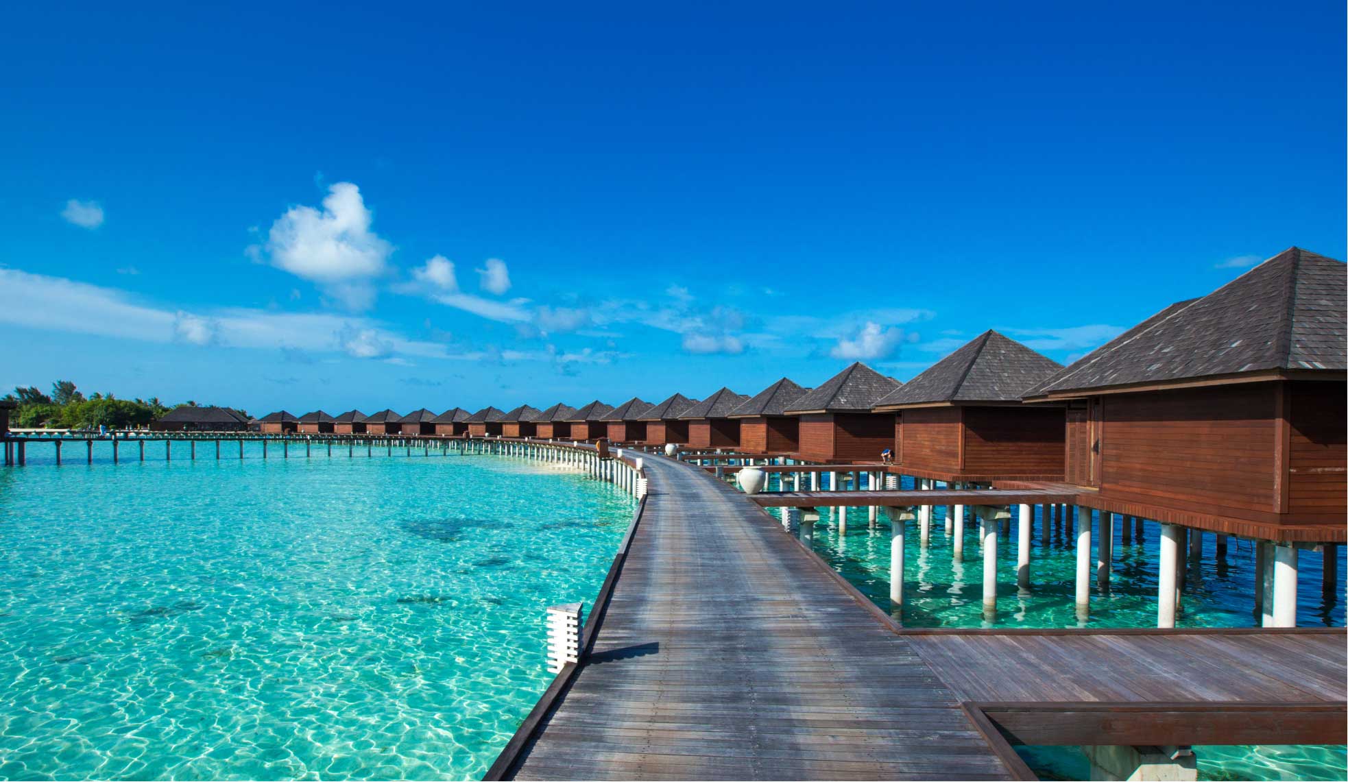 Earn 2,000 bonus Avios on stays