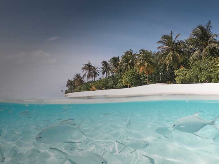 Qatar Airways Holidays