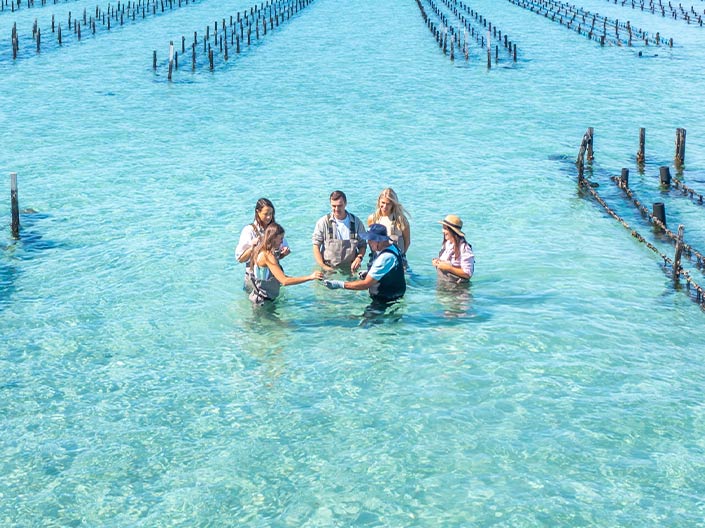 Win a dream trip to South Australia