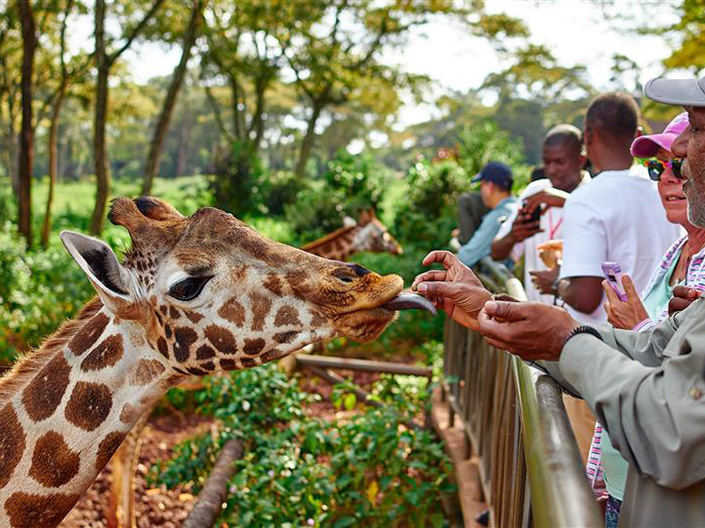内罗毕活动推荐  