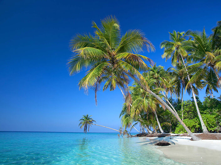 Bir sonraki maceranızı planlayın