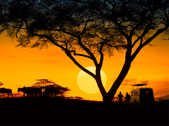 Spectacular Africa