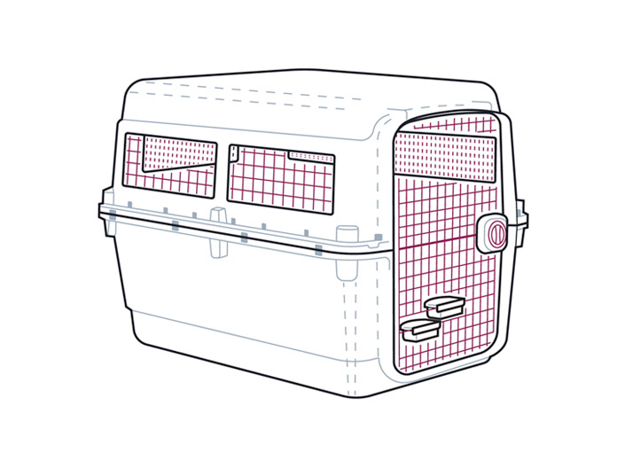 Carriage of live Animals