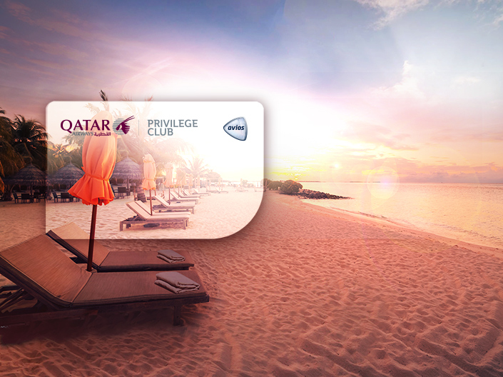 Discover our great offers