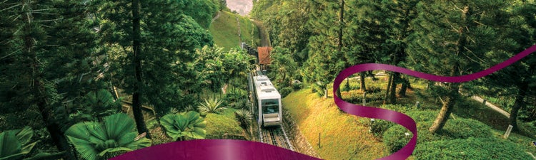 Flights to Asia-Pacific